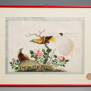Ten Chinese framed rice paper paintings with mostly butterflies and birds, Canton, 19th C. — 照片 11