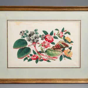 Ten Chinese framed rice paper paintings with mostly butterflies and birds, Canton, 19th C. — 照片 5