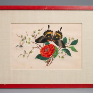Ten Chinese framed rice paper paintings with mostly butterflies and birds, Canton, 19th C. — 照片 8