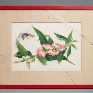 Ten Chinese framed rice paper paintings with mostly butterflies and birds, Canton, 19th C. — 照片 10