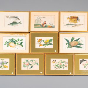Ten various Chinese rice paper paintings with flora and fauna, Canton, 19/20th C. — 照片 1