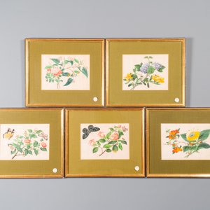 Ten various Chinese rice paper paintings with flora and fauna, Canton, 19/20th C. — 照片 3