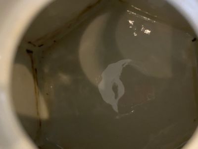Théière couverte en porcelaine de Chine qianjiang cai de forme hexagonale, signée et avec le sceau de Luo Zhonglin 羅仲林, 19/20ème — photo 14