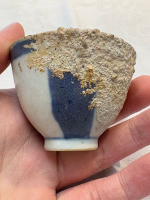 Thirteen Chinese blue and white 'Hatcher Cargo' cups and three celadon-glazed cups, Transitional period — 照片 56