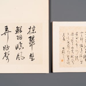 Three albums: 'Jiang Hanting 江寒汀 (1904-1963), Lin Sanzhi 林散之 (1898-1989) and Qi Gong 启功 (1912-2005)', ink and colour on paper — photo 11