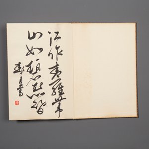 Three Chinese albums: Xu Beihong 徐悲鴻(1895-1953), Bada Shanren 八大山人(1626-1705) and anonymous, ink and colour on paper — foto 13