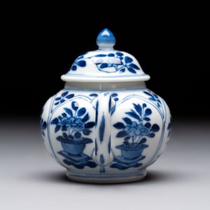 Three Chinese blue and white teapots, a cup and a saucer, Kangxi — foto 11