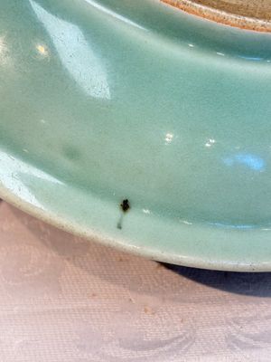 Three Chinese celadon-glazed plates with floral anhua design, 18/19th C. — foto 12