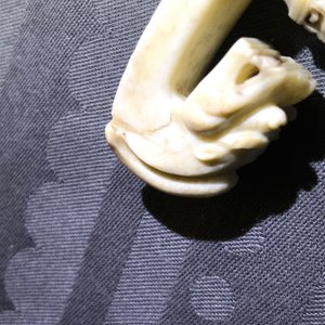 Three Chinese jade belt hooks, 19th C. — 照片 8