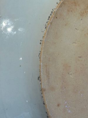 Three large oval Chinese crown-monogrammed puce-enamelled and gilt-decorated dishes, Qianlong — photo 14