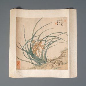 Tian Shiguang (1916-1999), ink and color on paper: 'Two yellow iris' — photo 2