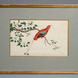 Tien Chinese ingelijste schilderingen op rijstpapier met vnl. vogels en vlinders, Canton, 19e eeuw — foto 4
