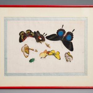 Tien Chinese ingelijste schilderingen op rijstpapier met vnl. vogels en vlinders, Canton, 19e eeuw — foto 6
