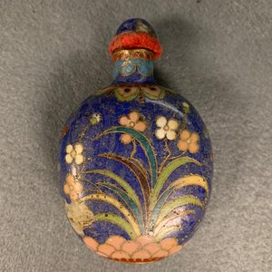 Tien Chinese snuifflessen in cloisonné, 19/20e eeuw — foto 26