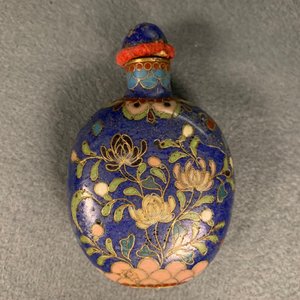 Tien Chinese snuifflessen in cloisonné, 19/20e eeuw — foto 27