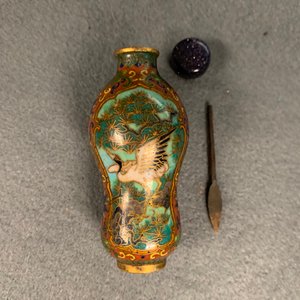 Tien Chinese snuifflessen in cloisonné, 19/20e eeuw — foto 37