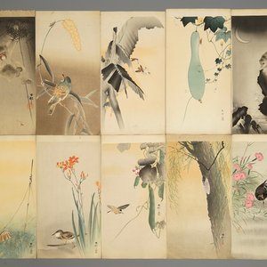 Tien Japanese aquarellen met decors van dieren en bloemen, Meiji, 19/20e eeuw — foto 1