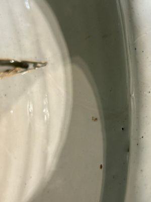 Très rare pot à posset en faïence de Delft en bleu et blanc, début du 18ème — photo 13