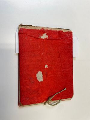 Trois albums et deux peintures sur papier de riz cadrées à décor des personnages, de la faune et de la flore, Chine, Tak Shang Saihing — photo 1