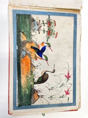 Trois albums et deux peintures sur papier de riz cadrées à décor des personnages, de la faune et de la flore, Chine, Tak Shang Saihing — photo 11