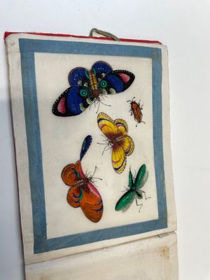 Trois albums et deux peintures sur papier de riz cadrées à décor des personnages, de la faune et de la flore, Chine, Tak Shang Saihing — photo 4