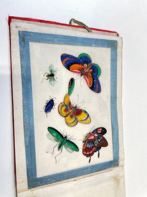 Trois albums et deux peintures sur papier de riz cadrées à décor des personnages, de la faune et de la flore, Chine, Tak Shang Saihing — photo 7