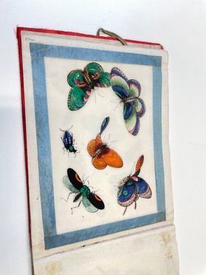 Trois albums et deux peintures sur papier de riz cadrées à décor des personnages, de la faune et de la flore, Chine, Tak Shang Saihing — photo 8