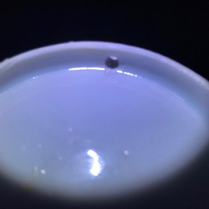 Trois bols de type klapmuts en porcelaine de Chine de type kraak, Wanli — photo 17