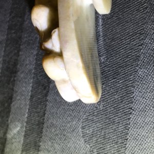 Trois boucles de ceinture en jade sculpté, Chine, 19ème — photo 15