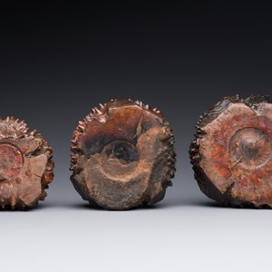Trois lave-pinceaux en bois de ronce, Chine, 19ème — photo 4
