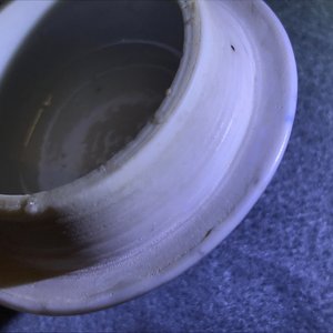 Trois théières couvertes en porcelaine de Chine bleu et blanc, Kangxi — photo 19
