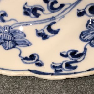 Twee blauwwitte Chinese plooischotels met een feniks en apen, Kangxi — foto 14