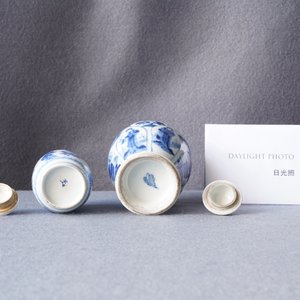 Twee Chinese blauw-witte dekselvaasjes met Lange Lijzen, Kangxi — foto 9