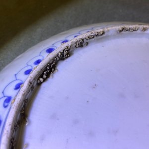 Twee Chinese blauw-witte kraakporseleinen borden met herten en een sprinkhaan, Wanli — foto 31