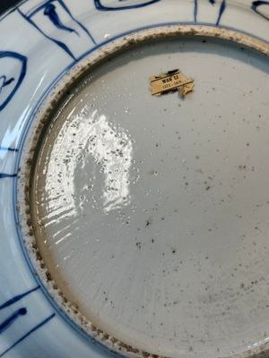 Twee Chinese blauw-witte kraakporseleinen schotels met vogels en insecten, Wanli — foto 19