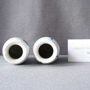Twee Chinese blauw-witte rouleau vazen, Kangxi — foto 9