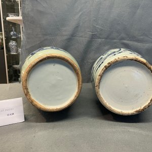Twee Chinese blauw-witte vazen met celadon fondkleur, 19e eeuw — foto 10
