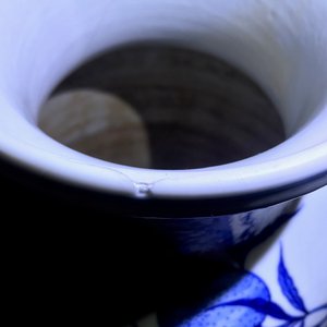 Twee Chinese blauwwitte en wucai vazen, Yongzheng en Wanli merken, 19e eeuw — foto 25