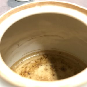 Twee Chinese famille rose en qianjiang cai theepotten, 19/20e eeuw — foto 17