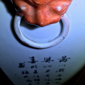 Twee Chinese famille rose en qianjiang cai vazen, 19/20e eeuw — foto 9