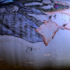 Twee Chinese qianjiang cai vazen, 19/20e eeuw — foto 24