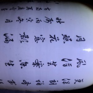 Twee Chinese qianjiang cai vazen, 19/20e eeuw — foto 27