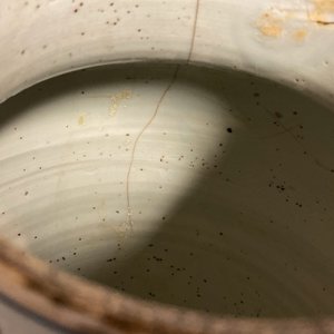 Twee Chinese wucai dekselvazen, Transitie periode — foto 12