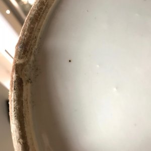 Twee grote Chinese blauwwitte Bencharong-stijl theepotten voor de Thaise markt, 19e eeuw — foto 10