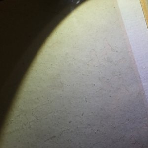 Twee ingelijste Chinese schilderijen van een landschap en een vogel op tak, 18/19e eeuw — foto 21