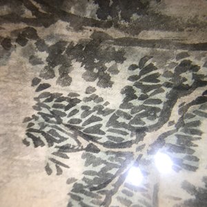 Twee ingelijste Chinese schilderijen van een landschap en een vogel op tak, 18/19e eeuw — foto 32