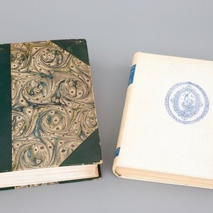 Twee werken over Delfts aardewerk, w.o. Havard, Histoire de la faïence de Delft, 1878 — foto 1