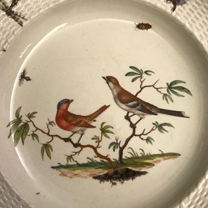 Twelve polychrome Ludwigsburg porcelain ornithological plates, Germany, 2nd half 18th C. — 照片 11