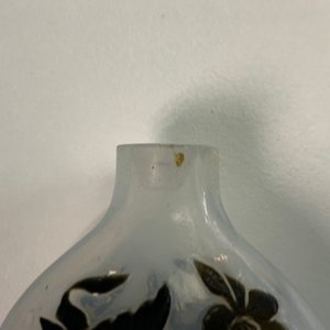 Twelve various Chinese snuff bottles, 20th C. — 照片 24