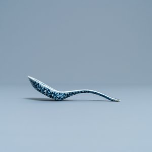 Twintig Chinese blauw-witte lepels, 19/20e eeuw — foto 6